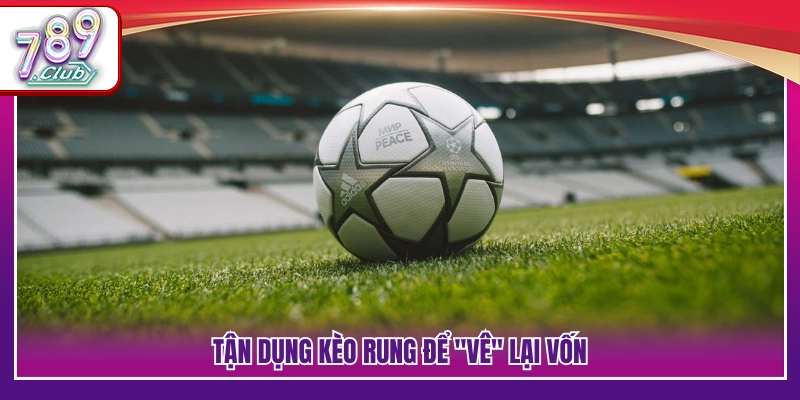 Khai thác biến động kèo để cân lại dòng tiền